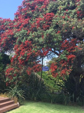 Absolute Waterfront Serenity Near Auckland Clarks Beach 외부 사진