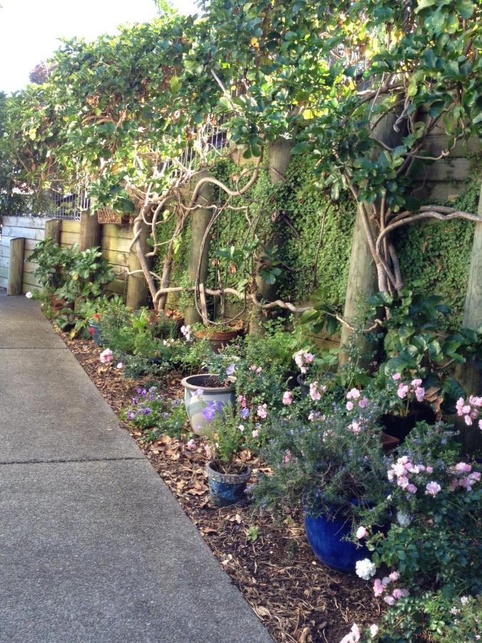Absolute Waterfront Serenity Near Auckland Clarks Beach 외부 사진
